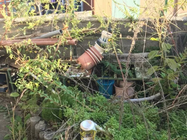 富山の株式会社エイキ　植栽・車庫・ブロック塀の解体工事　撤去前の植栽