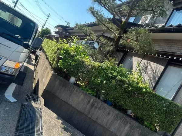 植栽の伐採・撤去前