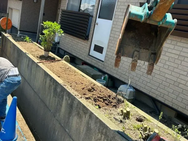 植栽の伐採中