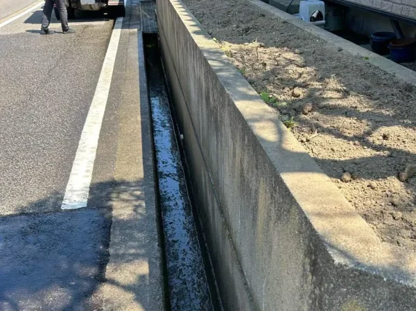 植栽の撤去後