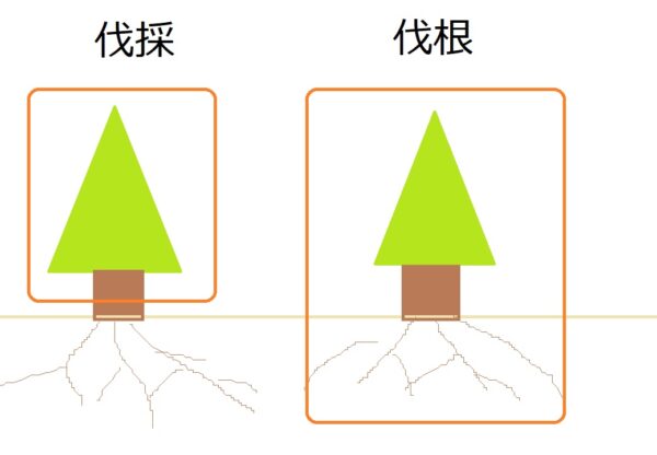 わかりやすい！植栽の「伐採と伐根の違い」とは？ 〔富山市の解体工事 