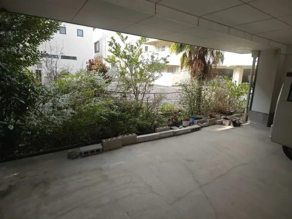 伐採前の駐車場わき。