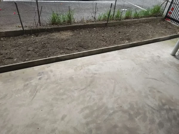 伐採後の駐車場わき