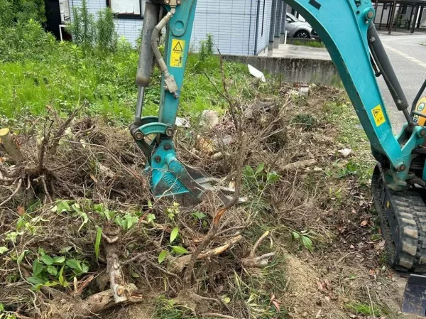 重機を利用して伐根