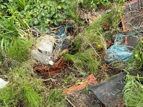 敷地に、いろんな不要物が散乱している