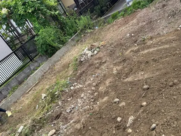 きれいになった敷地