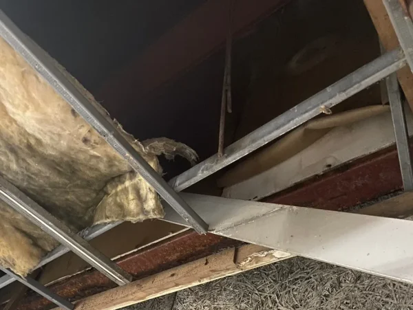 富山の内装解体現場。天井の断熱材も撤去している最中の写真