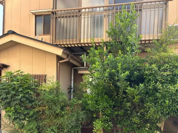 現場は富山駅西側の住宅街。解体工事の前の富山市の木造住宅の写真。手前に大きな植栽が見える。