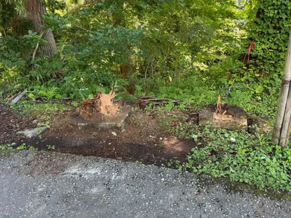 案内板を撤去すると、コンクリート基礎が地面から見える。