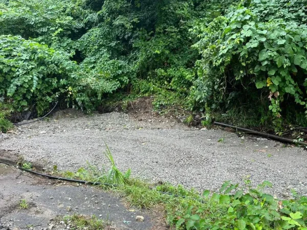 緑の手前には、更地が出来上がっている。