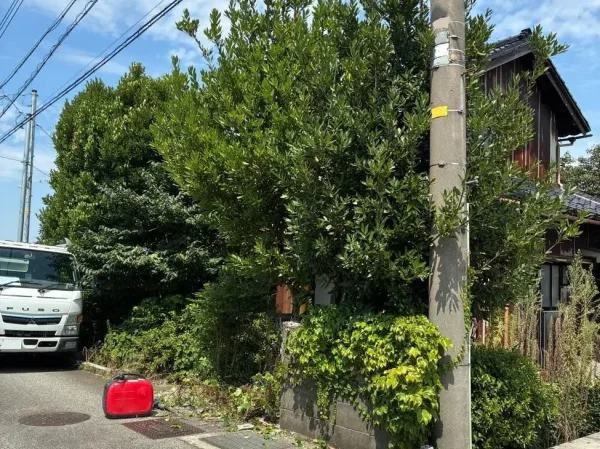 今回の解体現場。電柱の後ろや敷地の周りに、人の背丈を軽く超える大きな木やツタ、生垣がうっそうと生い茂っていて、道路からは建物本体がほとんど見えない状態になっている。