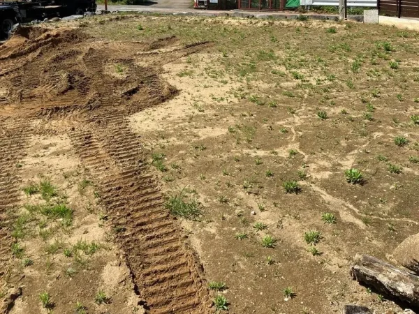 更地化中の庭。雑草が多数生えており、重機が通った跡がある。