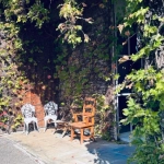 外壁を覆う植物が作り出す影と、空から照らされる日光のコントラストが特徴的な椅子付きのエクステリア